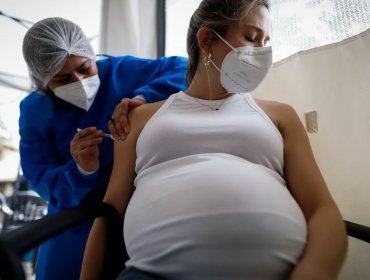 Estudio recomienda a las mujeres embarazadas no retrasar la vacunación del Covid-19 hasta el final