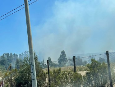 Bomberos y personal de Conaf combaten incendios forestales que afectan a sectores de Placilla en Valparaíso