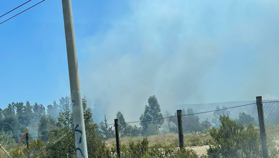 Bomberos y personal de Conaf combaten incendios forestales que afectan a sectores de Placilla en Valparaíso