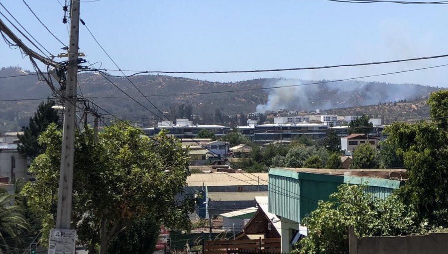 Bomberos y personal de Conaf trabajan en incendio que afecta al sector El Sol de Quilpué