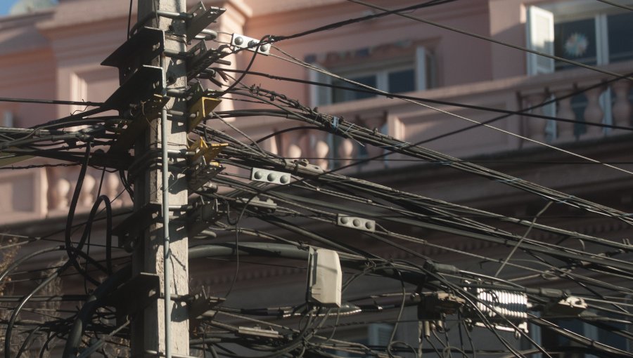 Más de cuatro mil personas quedaron sin luz en Antofagasta por caída de árbol