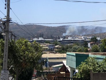 Bomberos y personal de Conaf trabajan en incendio que afecta al sector El Sol de Quilpué