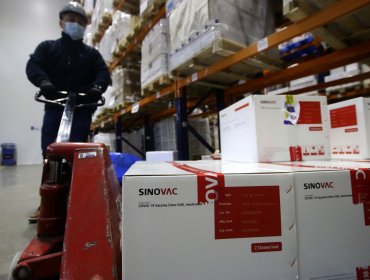 300 mil nuevas dosis de la vacuna Sinovac contra el Covid-19 llegaron a Chile el último día del año