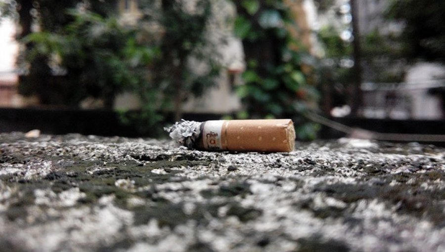 Cámara de Diputados respalda proyecto que busca evitar la contaminación por colillas de cigarrillos