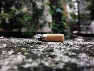Cámara de Diputados respalda proyecto que busca evitar la contaminación por colillas de cigarrillos