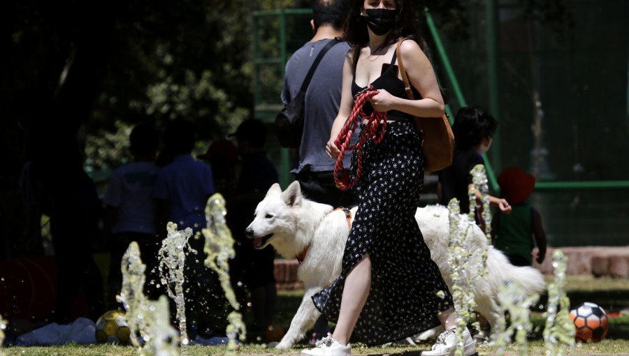 Emiten alerta en las regiones del Maule y Ñuble por temperaturas que podrían llegar a los 37°C