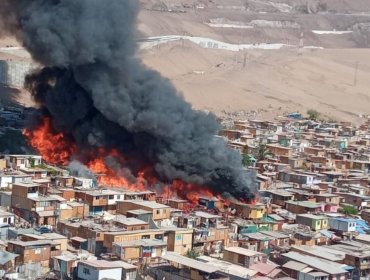Director regional Onemi de Tarapacá: incendio de Iquique ha afectado a 30 casas