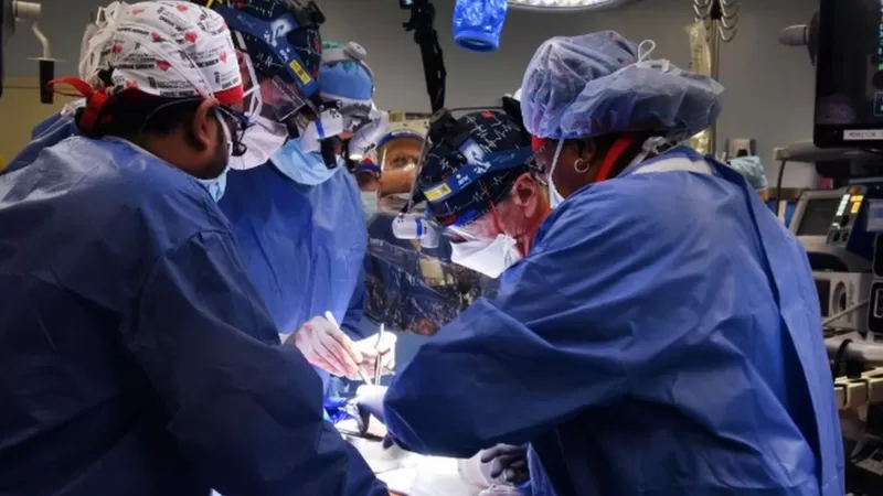 Un estadounidense se convirtió en la primera persona en el mundo en recibir un trasplante de corazón de un cerdo
