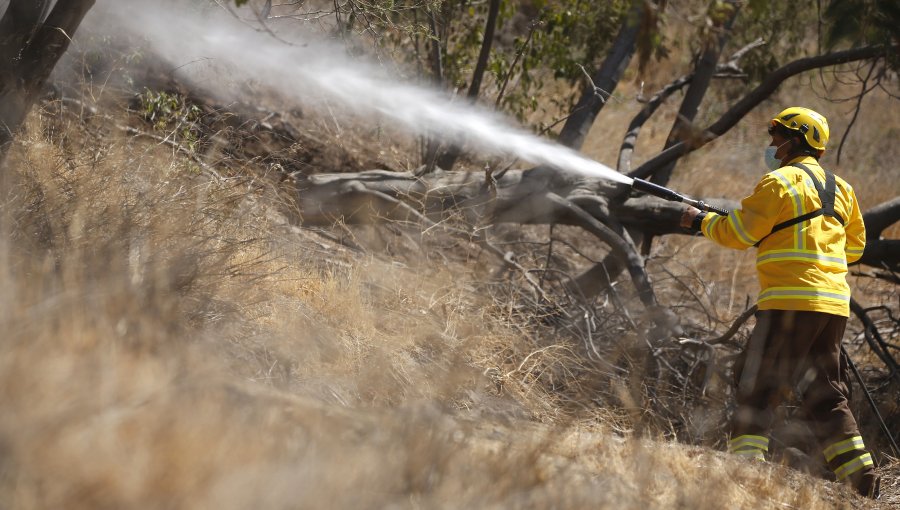 Decretan Alerta Roja por incendio forestal que amenaza viviendas en Chillán