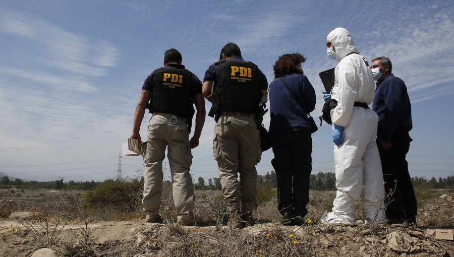 Hallan cuerpo calcinado al costado de una ruta en Puerto Octay: investigan participación de terceros