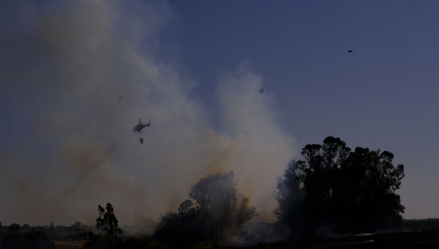 Decretan Alerta Roja en Litueche por incendio forestal cercano a viviendas