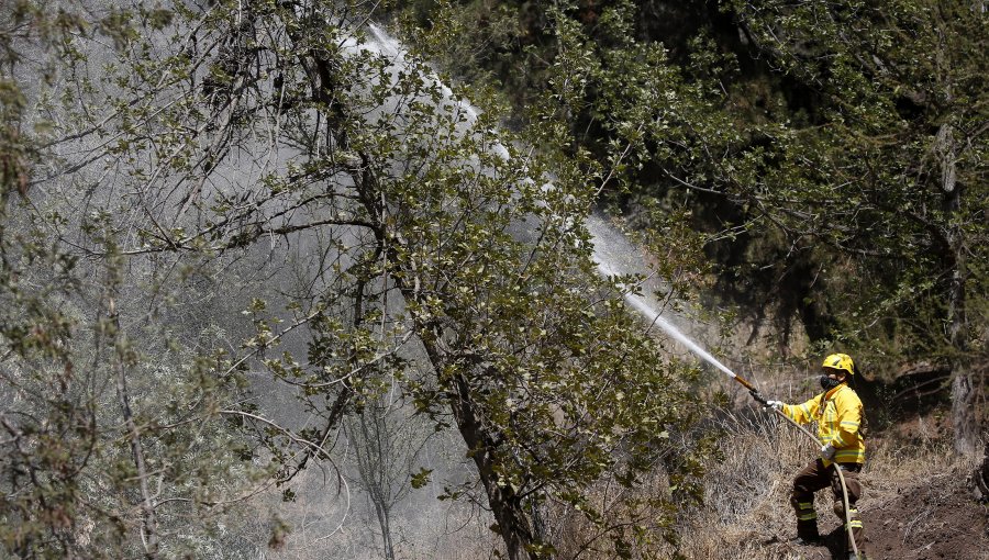 Declaran Alerta Roja para Melipeuco por incendio forestal que amenaza a reserva