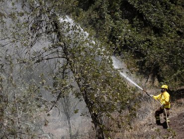 Declaran Alerta Roja para Melipeuco por incendio forestal que amenaza a reserva