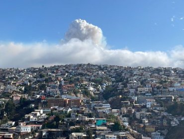 Incendio forestal declarado camino a la Pólvora moviliza a Bomberos en Valparaíso