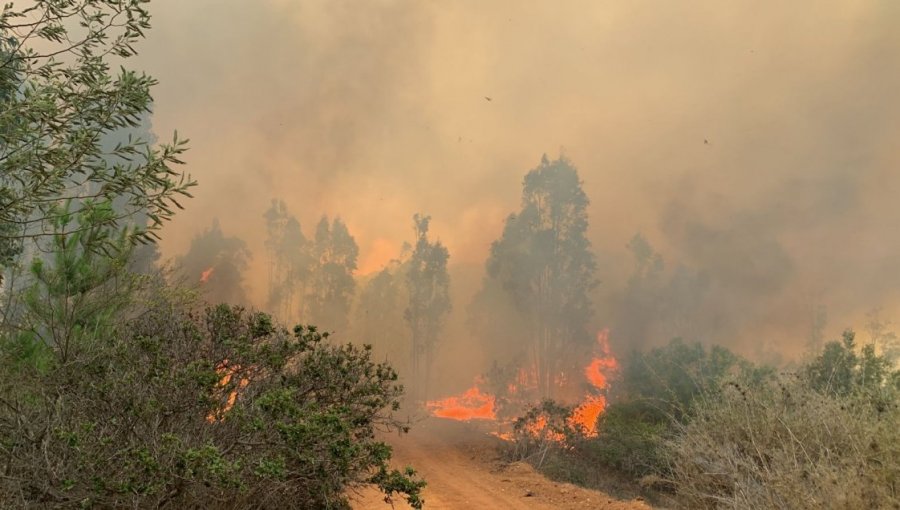 Se mantiene Alerta Roja por incendio en Valparaíso: Siniestro ya consumió 30 hectáreas
