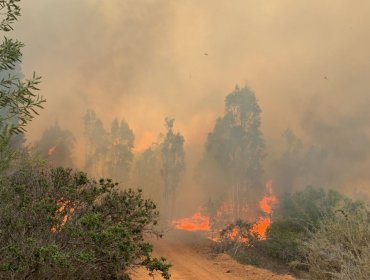 Se mantiene Alerta Roja por incendio en Valparaíso: Siniestro ya consumió 30 hectáreas