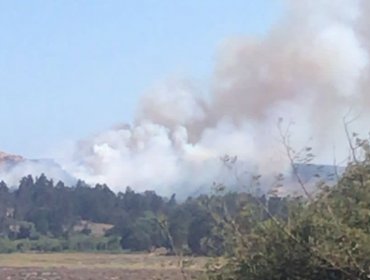 Incendio forestal afecta a sector de Quintero: decretan Alerta Roja por amenaza a viviendas e infraestructura crítica
