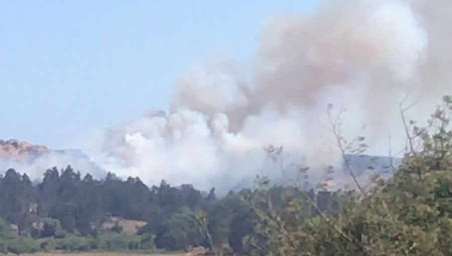 Incendio forestal afecta a sector de Quintero: decretan Alerta Roja por amenaza a viviendas e infraestructura crítica