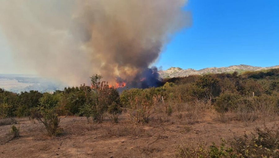 Detienen a presunto responsable de incendio forestal que mantiene con Alerta Roja a Quintero