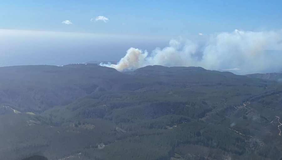 Incendio forestal afecta a sector de Quintay: decretan Alerta Amarilla por comportamiento extremo y fuerte viento en el sector