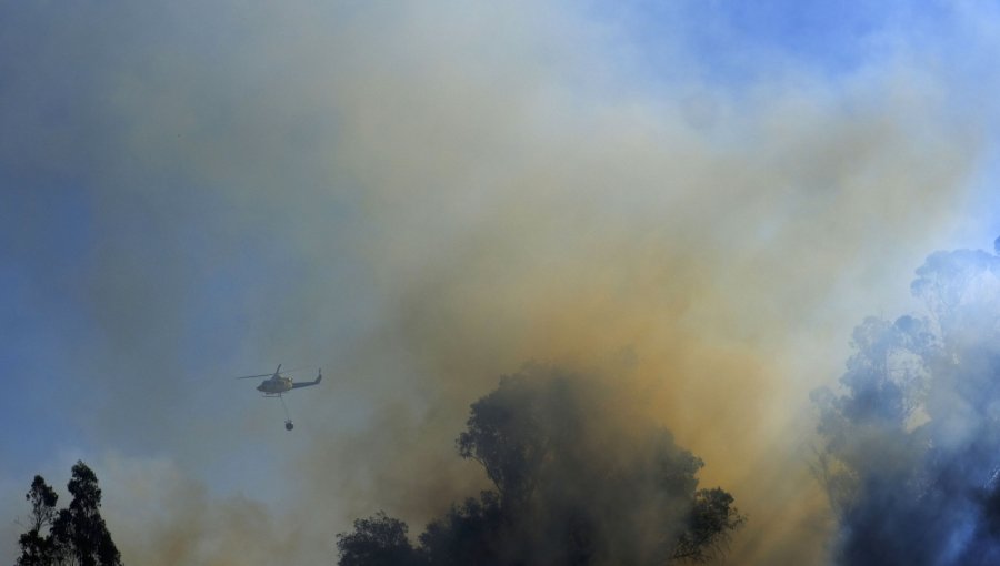 Dos hectáreas ha consumido incendio en Reserva Nacional Lago Peñuelas: declaran Alerta Roja para Valparaíso