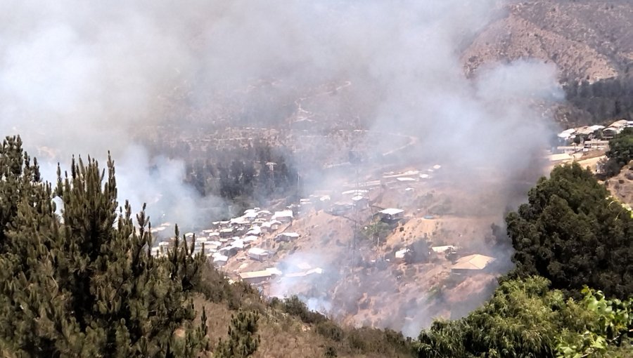 Incendio forestal afecta a sector de Villa Independencia en la parte alta de Viña del Mar