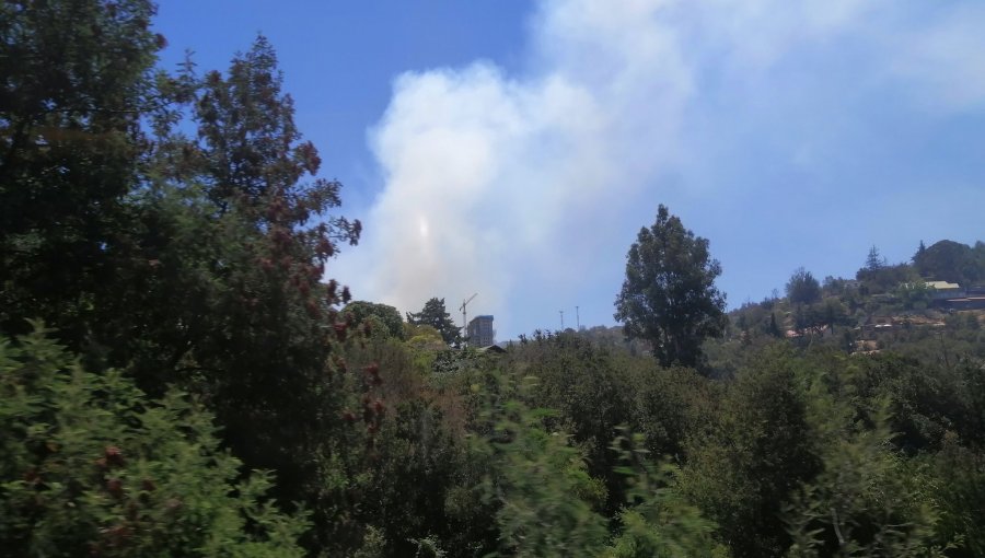 Decretan Alerta Roja por incendio forestal que amenaza viviendas en la parte alta de Viña del Mar