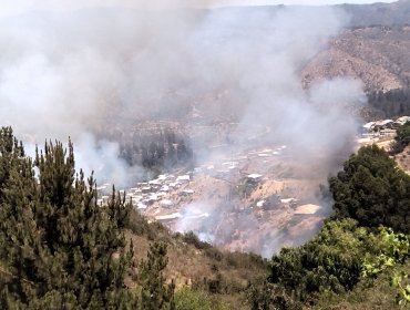 Incendio forestal afecta a sector de Villa Independencia en la parte alta de Viña del Mar