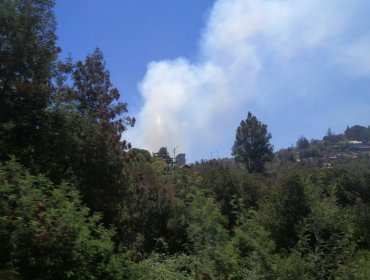 Decretan Alerta Roja por incendio forestal que amenaza viviendas en la parte alta de Viña del Mar