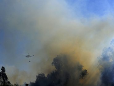 Dos hectáreas ha consumido incendio en Reserva Nacional Lago Peñuelas: declaran Alerta Roja para Valparaíso