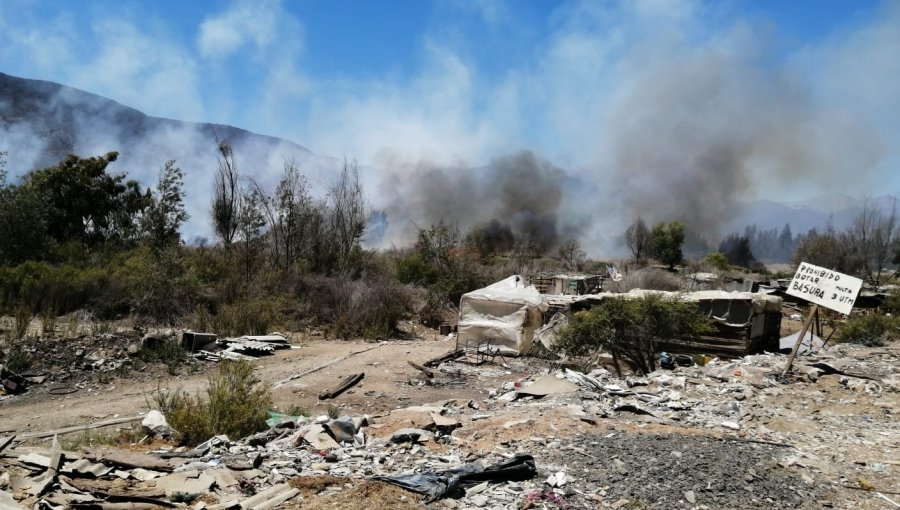 Incendio afecta al sector estero de Limache: trabaja la totalidad de los bomberos de la comuna