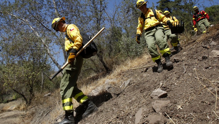 Incendio en cerro San José de Catemú dejó cinco viviendas destruidas