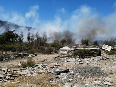 Incendio afecta al sector estero de Limache: trabaja la totalidad de los bomberos de la comuna