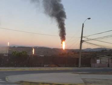 Caída del sistema eléctrico en Refinería de Concón provoca grandes llamas en antorchas y produce incendio de pastizales