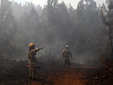 Onemi declaró Alerta Roja en Traiguén por incendio forestal cercano a viviendas