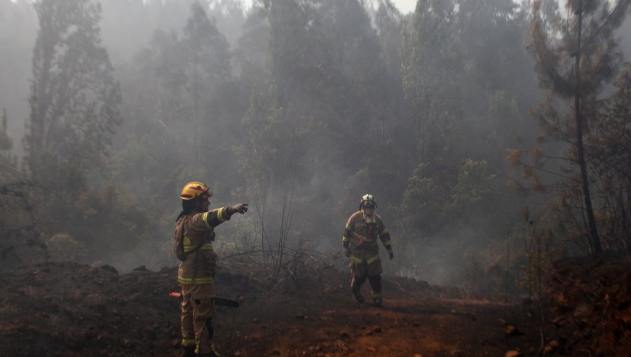 Onemi declaró Alerta Roja en Traiguén por incendio forestal cercano a viviendas