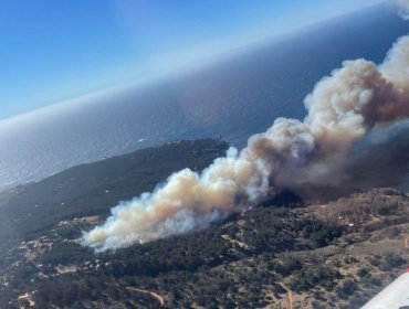 Alerta Roja en Valparaíso por incendio forestal: Detienen a sujeto como presunto autor del siniestro
