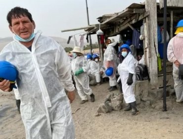 "Hay daño ambiental, moral y económico": La intensa labor de limpieza en Perú del derrame de petróleo provocado por el tsunami en Tonga