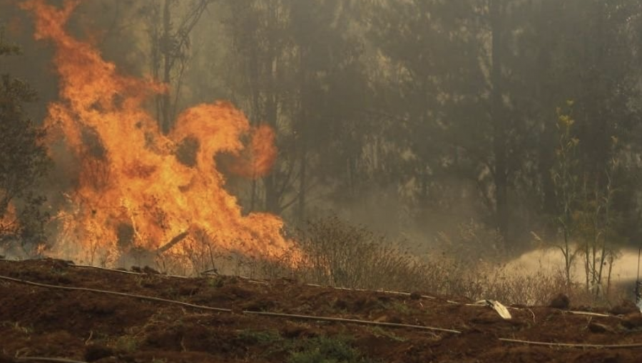 Incendio en Chimbarongo ha consumido más de 3.000 hectáreas