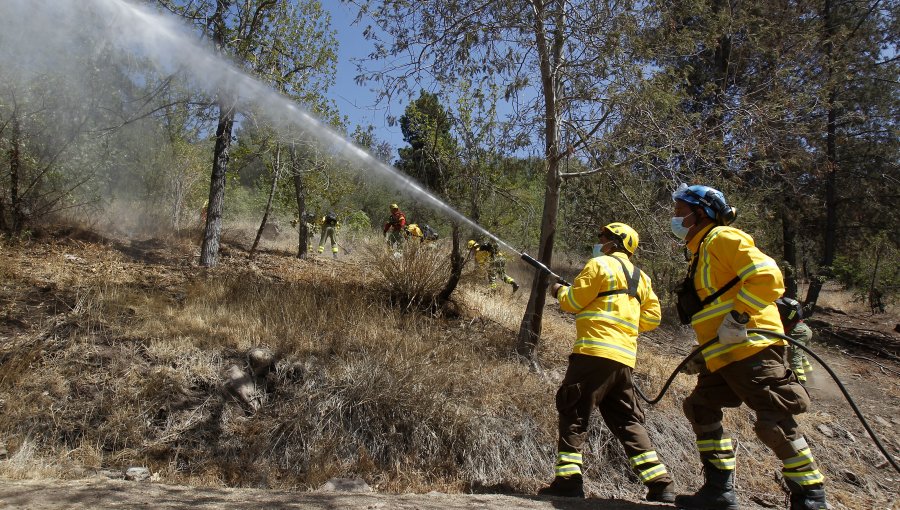 Incendio forestal en Timaukel sigue activo y ha consumido casi 300 hectáreas