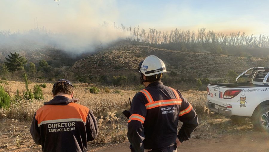 Valparaíso en Alerta Roja por incendio forestal en el deslinde de la Reserva Nacional Lago Peñuelas