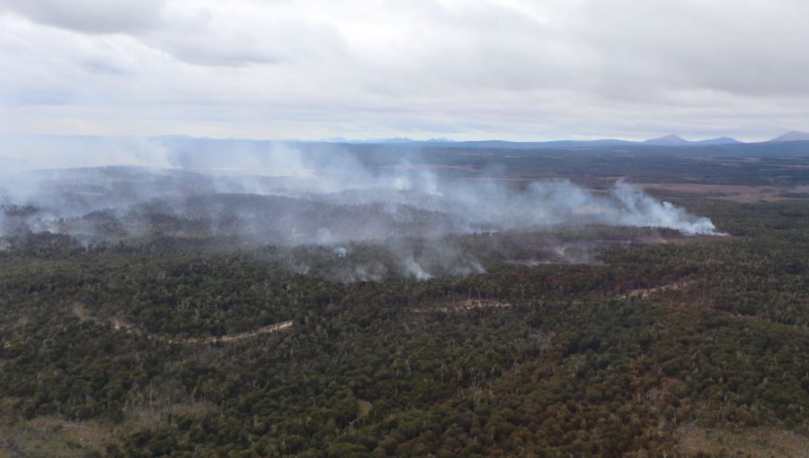 Incendio forestal en Timaukel se mantiene activo y ha consumido 1.100 hectáreas
