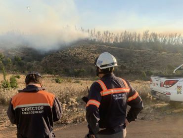 Valparaíso en Alerta Roja por incendio forestal en el deslinde de la Reserva Nacional Lago Peñuelas