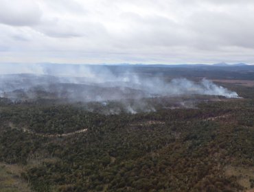 Incendio forestal en Timaukel se mantiene activo y ha consumido 1.100 hectáreas