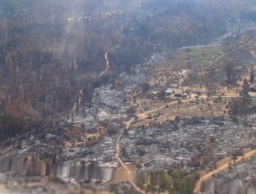 Conaf cataloga incendio forestal en Chimbarongo como el "más complejo de la temporada"