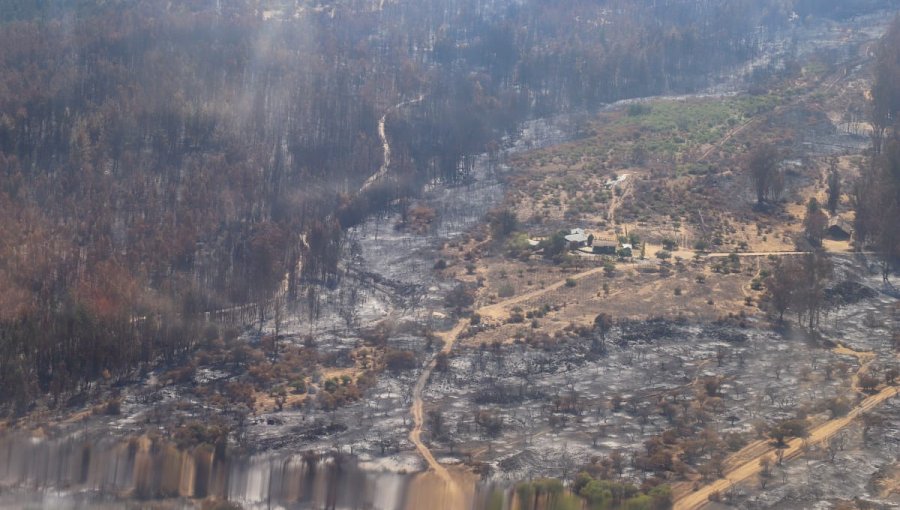 Conaf cataloga incendio forestal en Chimbarongo como el "más complejo de la temporada"