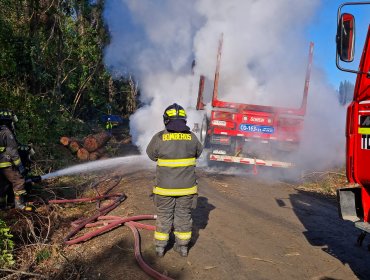 Un camión de una empresa forestal fue quemado en Curacautín