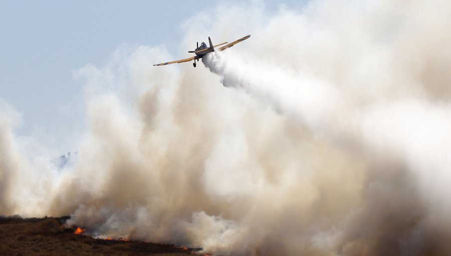 Puchuncaví: Al menos 50 hectáreas han sido consumidas por el fuego