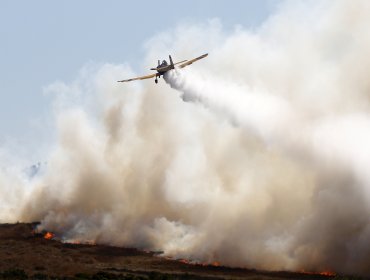 Puchuncaví: Al menos 50 hectáreas han sido consumidas por el fuego