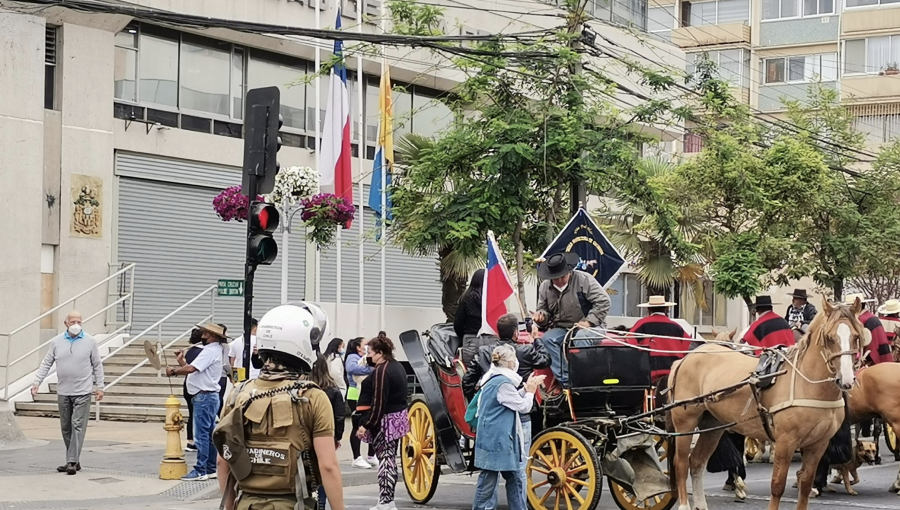 Colapso en el centro de Viña por protesta de cocheros: se tomaron la calle Arlegui exigiendo una reunión con la alcaldesa Ripamonti